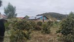 Kopi Sigarar Utang